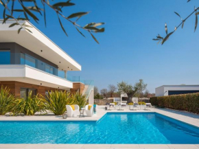 Villa Old Olive VII